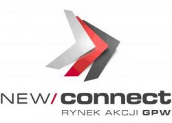 newconnect_logo_nieduze